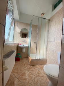 a bathroom with a shower and a sink and a toilet at Willa Malwa in Rewal +47 photos