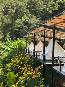 a row of tents in a field of flowers at The will glamping&camping in Ban Na Pho