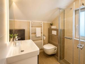 a bathroom with a toilet and a sink and a shower at Haus Dobrosek in Tröpolach