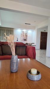 a living room with a vase on a wooden table at Villa Hill in Tríkala