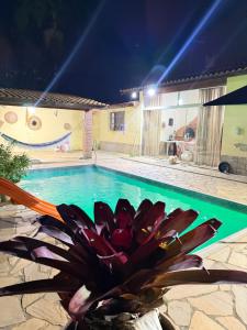 a swimming pool at night with a flower in the foreground at Chácara Nunes in Ibiúna