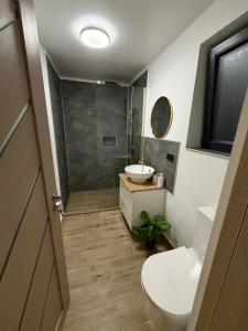 a bathroom with a white toilet and a sink at Cabanutele "La Garaj" in Ocna-Mureşului