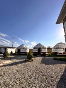 a group of three domes in a parking lot at Yurt house in Tong