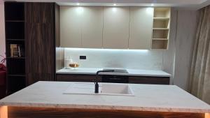 a kitchen with a sink and a counter at Villa Hill in Tríkala +32 photos