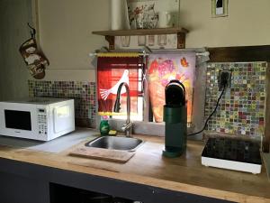 a kitchen counter with a sink and a microwave at Tim Vales place in Tampa