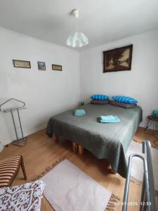 a bedroom with a bed with blue pillows on it at Valiant B&B in Otterbäcken
