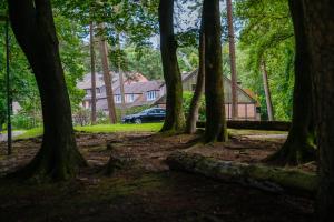 a group of trees in front of a house at Der Sunderhof in Seevetal +28 photos