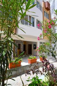 a building with potted plants in front of it at Hotel Rocha in Ribeira Grande