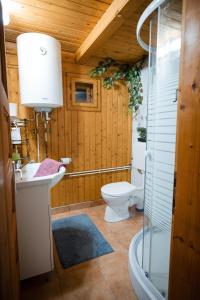a bathroom with a toilet and a sink and a shower at Cabana Toth Mic&Mare in Sovata +33 photos