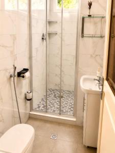 a bathroom with a shower and a toilet and a sink at Casa Mangrove in Maputo +6 photos