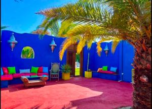 a living room with blue walls and a palm tree at Chambre d'hôtes in Ondara