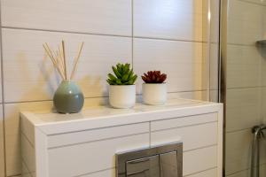 three plants sitting on a white shelf in a bathroom at Havnegata Apartments in Vadsø +24 photos