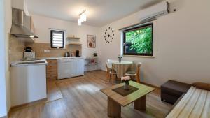 a living room with a couch and a table in a kitchen at Guesthouse Spektar in Irinovac