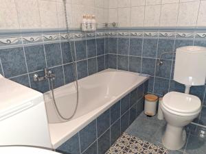 a bathroom with a bath tub and a toilet at Blue Iris Apartment in Kecskemét +10 photos