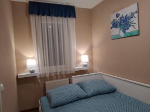 a bedroom with a bed and a window with two lamps at Blue Iris Apartment in Kecskemét