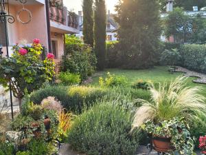 a garden with plants and flowers in a yard at Motivi Hotel in Saints Constantine and Helena