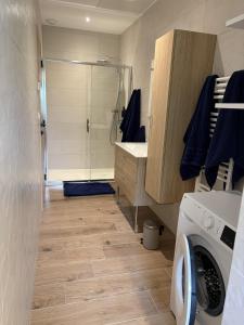 a bathroom with a shower and a washing machine at Appartement SUOMI in Saint-Sorlin-en-Bugey +15 photos