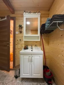 a bathroom with a white sink and a mirror at Splav Astra Perućac in Perućac +26 photos