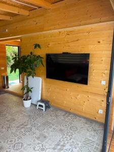 a living room with a large flat screen tv on a wooden wall at Splav Astra Perućac in Perućac