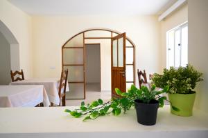 a room with a table with two potted plants on it at Hotel Rocha in Ribeira Grande