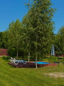 a tree and an umbrella next to a pool at Екопоселення Верболози in Misaylovka