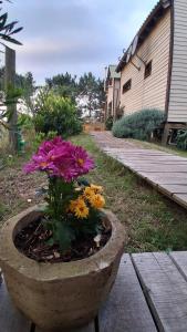 a stone planter with flowers in a yard at Villa Gutierrez4 in Punta Del Diablo