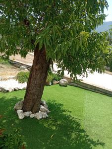 a tree with rocks around the base of it at LOUKIA'S HOUSE in Skala Kallirachis +39 photos