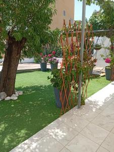 a garden with potted plants and a tree at LOUKIA'S HOUSE in Skala Kallirachis