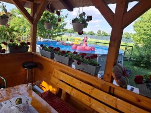 a pool with a woman in a pink inflatable at Vasilis House, Batković in Bijeljina