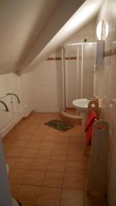a bathroom with a sink and a shower and a toilet at Penzion u Antošů in Jeseník +58 photos