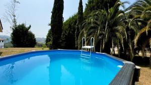 a blue swimming pool with a chair in front of trees at Villa Romeo in Oviedo