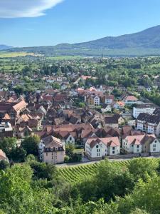 a small town with houses and trees and mountains at Large studio in Obernai in Obernai