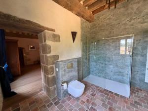 a bathroom with a toilet and a glass shower at Lieu dit La Chassagne in Saint-Hilaire-le-Château