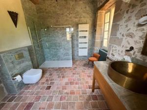 a bathroom with a sink and a shower and a toilet at Lieu dit La Chassagne in Saint-Hilaire-le-Château +10 photos