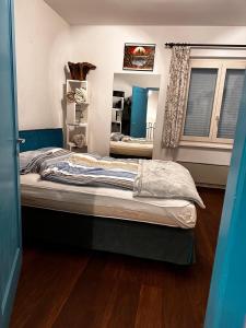 a bedroom with a bed and a mirror at Ferienhaus mit Privatgarten in Gambarogno