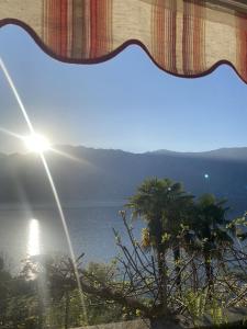 a view of a body of water with a palm tree at Ferienhaus mit Privatgarten in Gambarogno