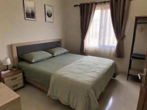 a bedroom with a large bed and a window at Vrh Beograda Villa 2 in Zaječar