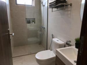 a bathroom with a shower and a toilet and a sink at Vrh Beograda Villa 2 in Zaječar