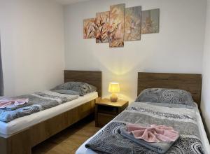 two beds sitting next to each other in a room at Apartmány MAX - Jeseníky in Vaclavov u Bruntalu