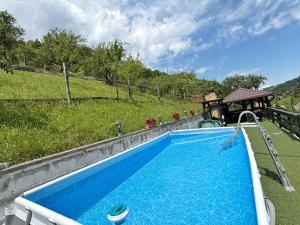 a blue swimming pool with a slide in a field at Casa din Codru in Şimon
