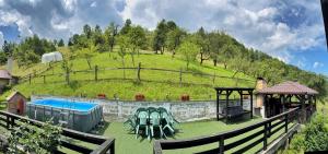 a backyard with a pool and a house with a hill at Casa din Codru in Şimon