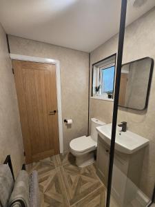 a bathroom with a toilet and a sink and a mirror at Cosy Moat House Cottage #2 in Pembroke
