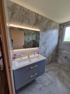 a bathroom with a sink and a mirror at Maison de Luxe 2 in Chalon-sur-Saône +32 photos