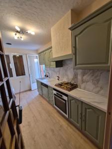 a kitchen with green cabinets and a stove top oven at Maison de Luxe 2 in Chalon-sur-Saône