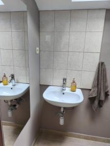 a bathroom with two sinks and two mirrors at Chata Leonard in Farná +27 photos