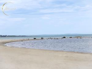 a beach with a group of elephants in the water at Seaside Stay Haverdal in Haverdal