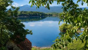 a view of a lake with mountains in the background at Old lake house in Nikšić