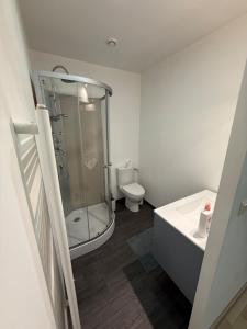 a bathroom with a shower and a toilet and a sink at Gîte du silo Avoine in Toucy +14 photos