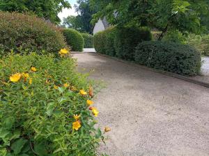 a garden with yellow flowers and a walk way at Charmante maison avec jacuzzi privatif in Saint-Salvadour +3 photos