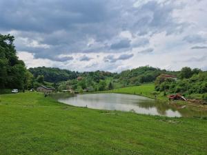 a river in a field next to a grassy field at Hiška Timi in Malečnik +14 photos